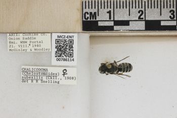 Media type: image;   Entomology 786114 Aspect: Labels